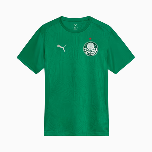 Camisa Palmeiras 2025/26 Treino